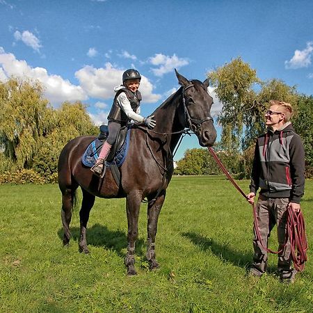Penzion Dobre Casy Подебрады Экстерьер фото